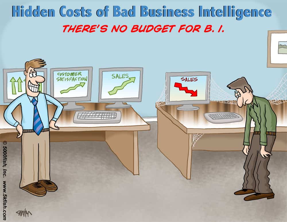 Can We Afford Business Intelligence Software?